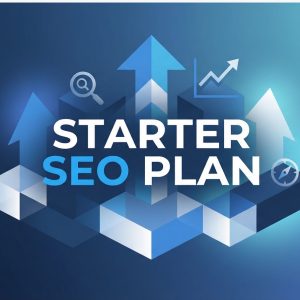 Starter SEO Plan